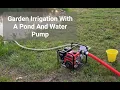 Garden Irrigation With A Harbor Freight Water Pump