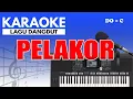 Lagu Karaoke - Pelakor ( Dangdut )