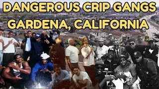 Inside Gardena California s Most Dangerous Crip Gangs The Untold Story