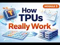 How TPUs Really Work Systolic Arrays Cores XLA Explained Module 3 1