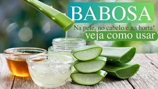 COMO USAR A BABOSA EM CASA - MELHORA A PELE, CABELO, E MUITO MAIS