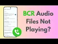 How To Fix BCR Audio Files Not Playing