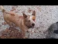 LANDSCAPE RAKE REBUILD PART