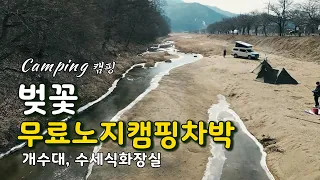 🫰초보자도 할 수 있어요, 🌸벚꽃 캠핑은 바로 여기서/ 무료 노지 차박 캠핑/🚻화장실/천안호두과자/🐕애견동반/캠핑/Camping 썸네일