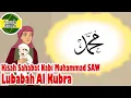 Download Lagu Lubabah Al Kubra - Sahabat Nabi Muhammad SAW - Kisah Islami Channel