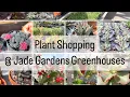Plant Shopping Jade Gardens Greenhouses Cactus Succulents and houseplants