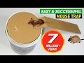 Download Lagu Best DIY Mouse Trap Bucket EVER! Rat/Mice Catching Trap Homemade!