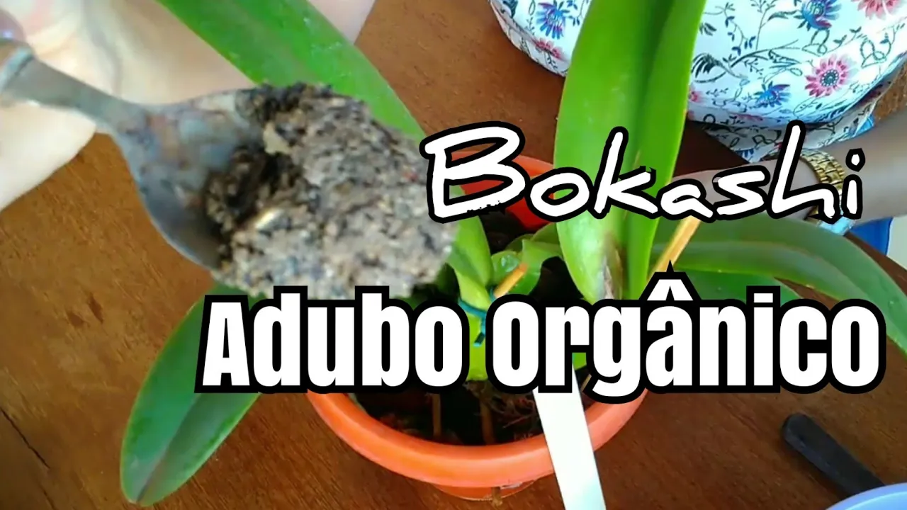 ADUBO ORGÂNICO BOKASHI: O MEU ADUBO PREFERIDO PARA ORQUÍDEAS