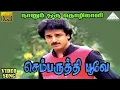 Download Lagu செம்பருத்தி பூவே HD Video Song | நானும் ஒரு தொழிலாளி | கமலஹாசன் | அம்பிகா | இளையராஜா