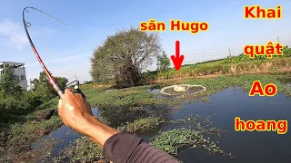 Câu lure Cá Lóc, khai quật Ao hoang để săn Hugo và cái kết