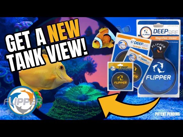 Flipper Deep See Magnified Viewer