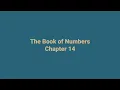 Numbers Chapter 14 King James Version KJV Text