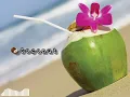Download Lagu Coconut | Cha~Cha |🥥