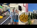 VLOG grocery haul drugstore favs new recipe etc