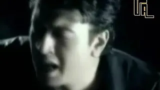 ياسر العشرى عارف تنسانى 