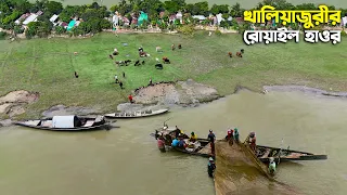 নেত্রকোনার খালিয়াজুরীর রোয়াইল হাওরের জীবনধারা | Haor Life | Panorama Documentary