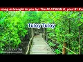 Tuloy-Tuloy - Quest