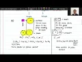 Download Lagu Particles \u0026 Potions 🧪Concepts Under Pressure ⚡ | Solubility  💧 \u0026 Henry's Law Decoded