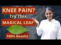 Download Lagu This One Leaf Can Prevent Knee Pain | Try Today! | Ayurvedic Remedy | Yogic Lifestyle | shlloka