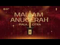 RED CARPET - MALAM ANUGERAH PIALA CITRA FFI 2025