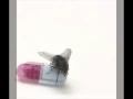 Download Lagu Red Hot Chili Peppers - Look Around