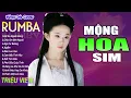 Download Lagu MỘNG HOA SIM , THỜI THẾ THẾ THỜI - LK Nhạc Trẻ Rumba 8x 9x Hót TikTok - ALBUM RUMBA XUẤT SẮC NHẤT