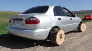 We Made Wheels from an ACTUAL TREE – Here’s what happened!