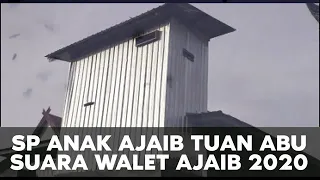 suara panggil walet