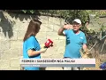 Download Lagu Artan Bajraktari po korr frytet e punës së tij, i kënaqur me prodhimin e hudhrës