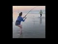 NSBSHARKHUNTERS
