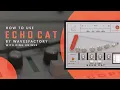 How To Use Wavesfactory Echo Cat - Get That Lo-fi Delay