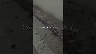 سئل احدهم عن الخذلان فقال Shorts معلومات حقائق ستوريات 