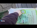 Applying Soil Doctor Pelletized Lawn Lime Boost Lawn pH Soil Health