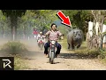 This Is How Pablo Escobar Spent His Billions