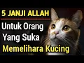 Download Lagu Gak Main Main❗5 Janji Allah Untuk Orang Yang Suka Memelihara Kucing | No. 5 Paling Diharapkan