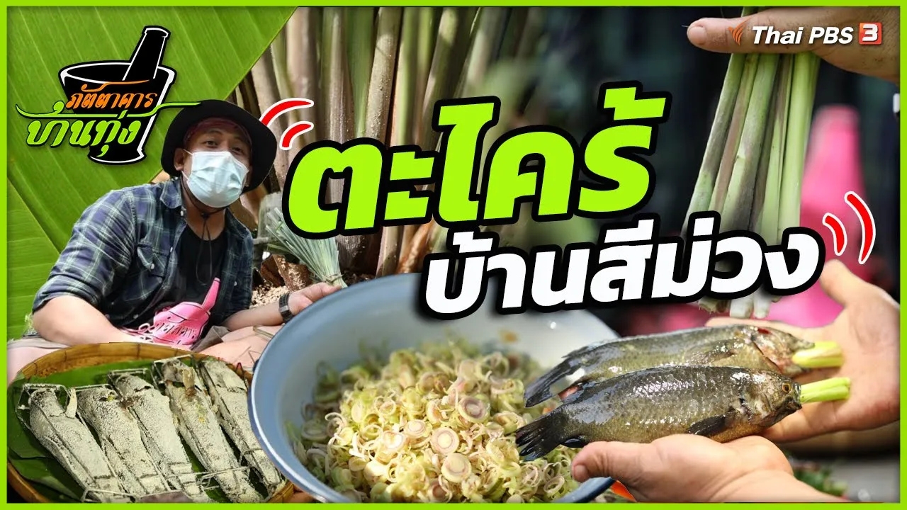 ตะไคร้บ้านสีม่วง | ภัตตาคารบ้านทุ่ง