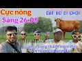 Download Lagu Sáng 26.08: luật sư cùng thánh mõm \