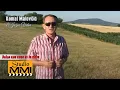 Download Lagu Kemal Malovcic i Juzni Vetar - Dosao sam samo da te vidim (1985)