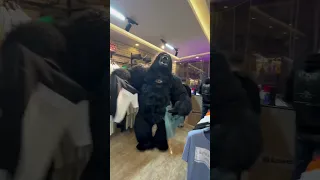 الغوريلا راحت عند الشاذلي Rap اكسبلور اضحكك Explore ترند الغوريلا Music 