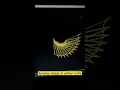 Python Turtle Graphics Cool Shape Drawing Python Turtle Learnonpy Python - Shorts