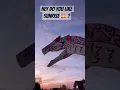 Download Lagu Sunrise is beautiful 🤩 #paperdragonsarecool #puppet #sunrise #trend MP3