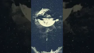 ياسلام لو كل عاشق شاف غرامنا وحبنا 