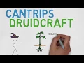 CANTRIP Druidcraft 5E