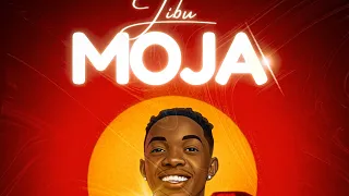 dogo mallo jibu moja official audio singeli 