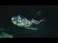 Wage War - 4x4 (Official Visualizer)