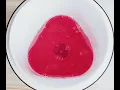 Easiyo Tutorial 1kg GERMAN