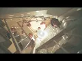 Download Lagu The Junes - Time For Celebration (Official Music Video)