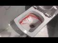 Download Lagu HUIDA washing down toilet-Flushing test