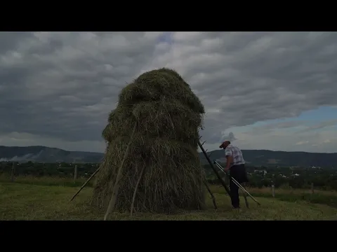 Plai. A Mountain Path Trailer - Sheffield DocFest 2022