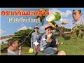 Download Lagu อยากกินมะพร้าวไม่ใช่เรื่องใหญ่